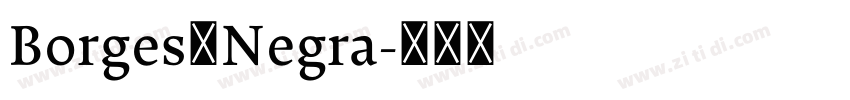 Borges Negra字体转换